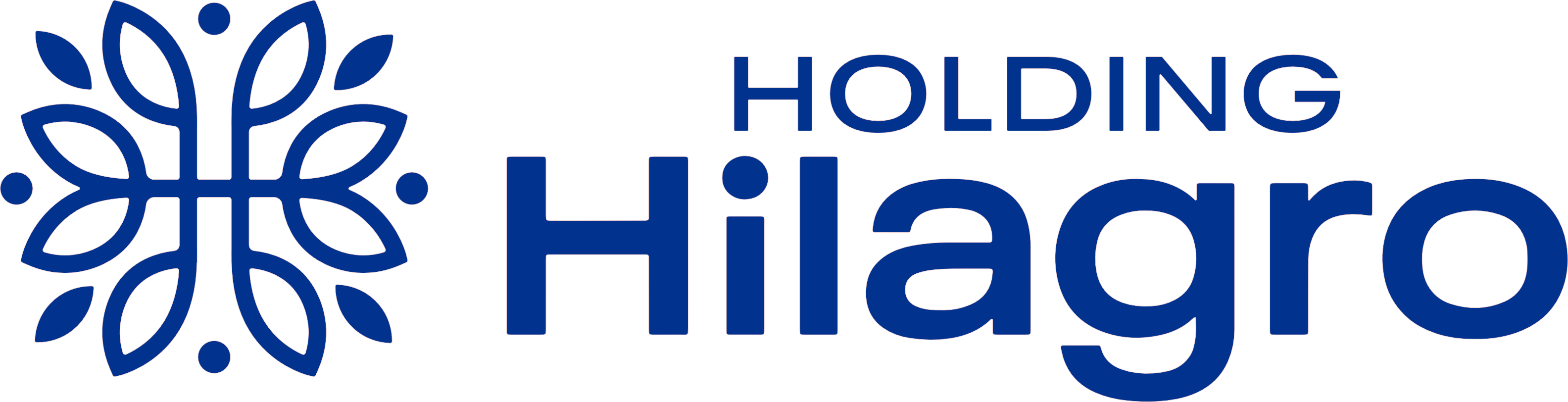 Holding Hilagro